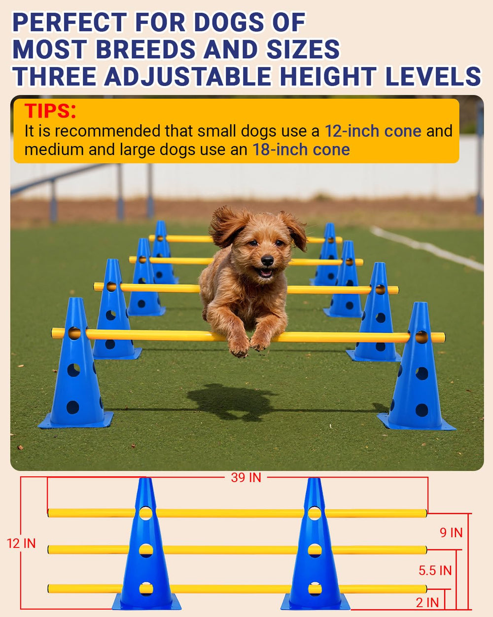 Lupar dog agility hurdle cones 12-inch focus on confident jumps and safe progression.