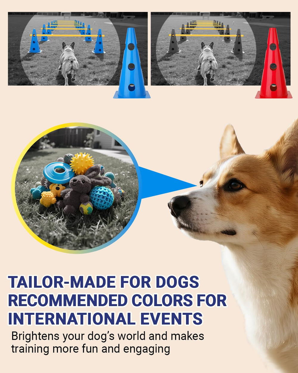 Lupar training-layout image shows endless layouts that keep dogs engaged and motivated.