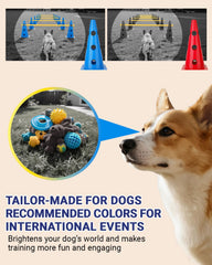 Lupar training-layout image shows endless layouts that keep dogs engaged and motivated.
