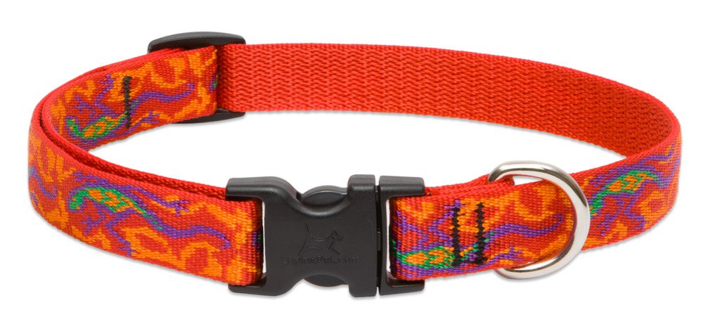 Collar LupinePet Originals Go Go Gecko ajustable 9-14 pulgadas, ideal para perros pequeños.