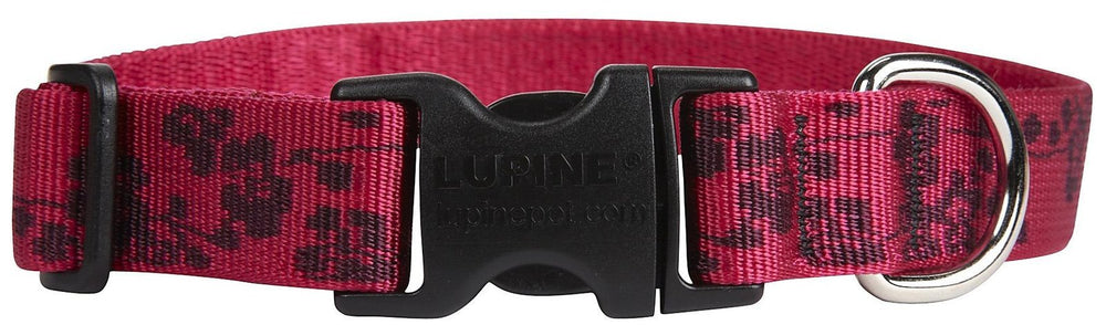 LupinePet Originals Plum Blossom collar worn by a dog demonstrates secure fit with welded D-ring.