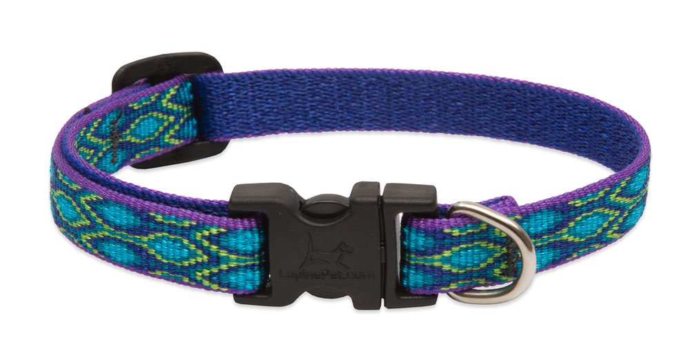 LupinePet Rain Song collar close-up highlighting durable weave for small dogs.