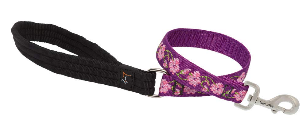 LupinePet Originals Rose Garden 2ft leash shows a colorful woven pattern for medium and large dogs.