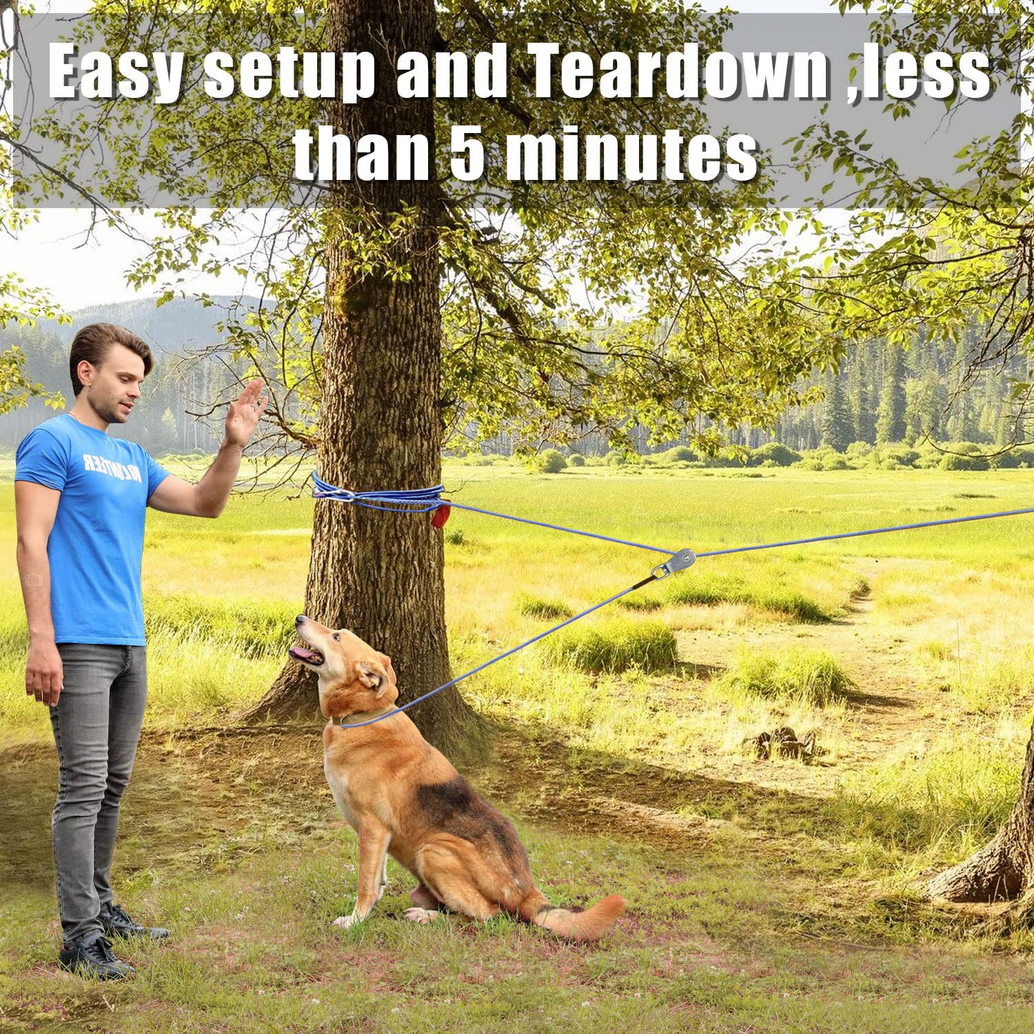 LURLEEZ backyard training setup illustrates flexible space for dogs of all sizes.