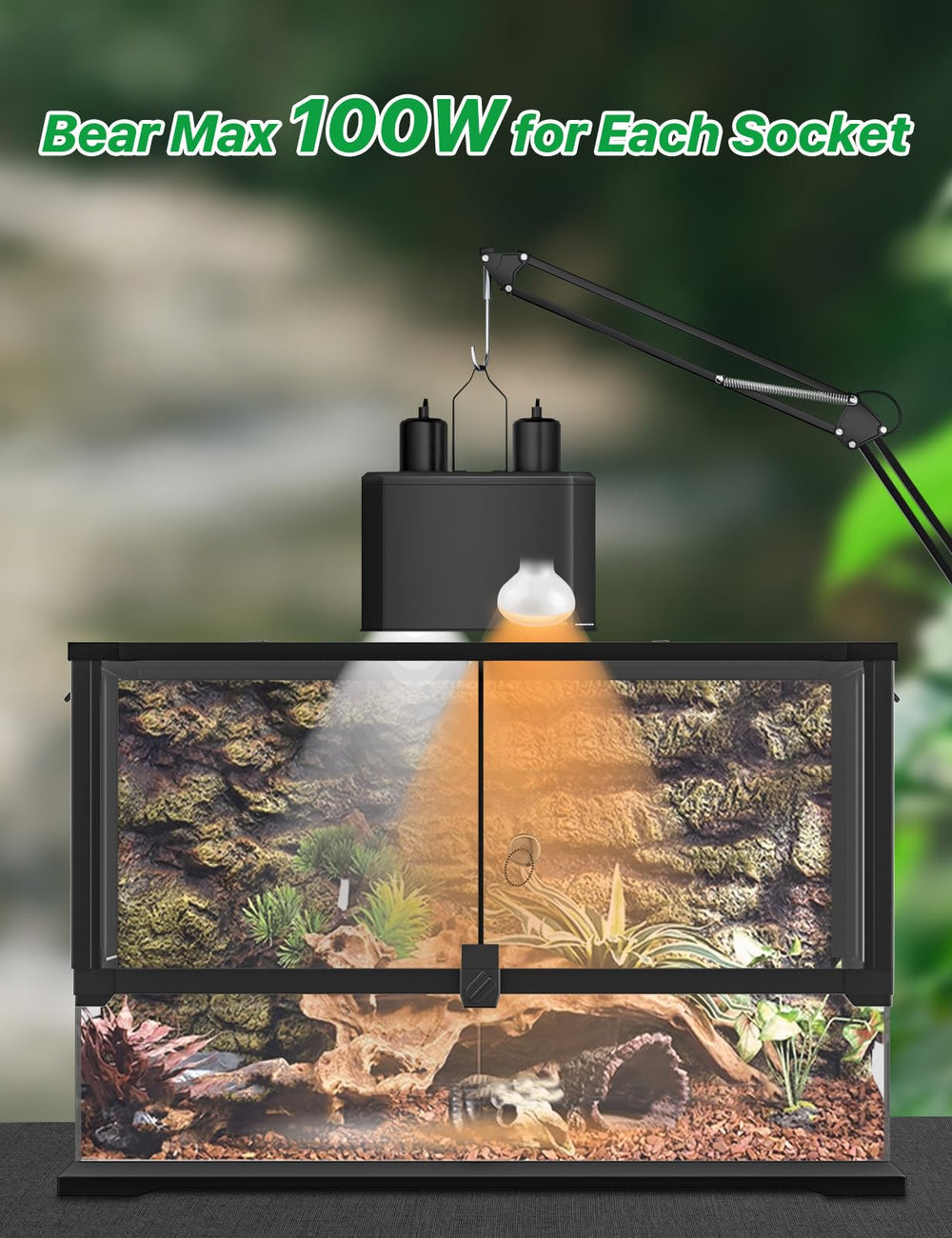 LURMMUE dual dome lamp setup in a terrarium enables independent lighting control
