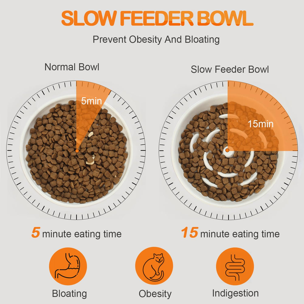 Lusifaco 5.9-inch shallow ceramic bowl supports easy kibble access.