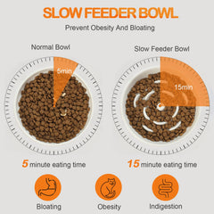 Lusifaco 5.9-inch shallow ceramic bowl supports easy kibble access.