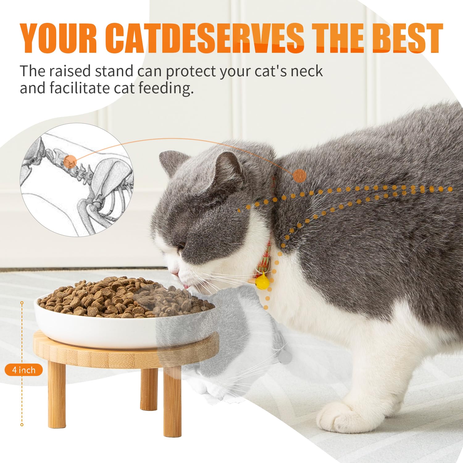 Lusifaco two-piece ceramic dish set for versatile indoor feeding.