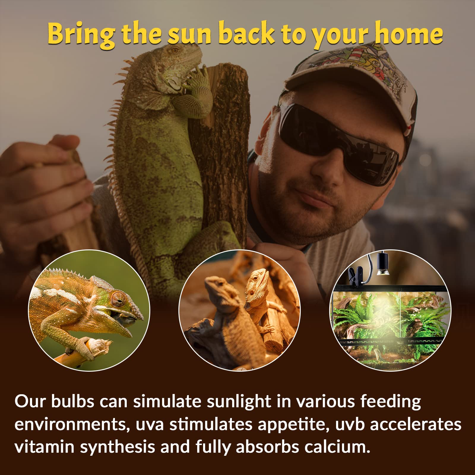 Lustaled 50W heat lamp bulbs in use in a tank provide a warm basking area.
