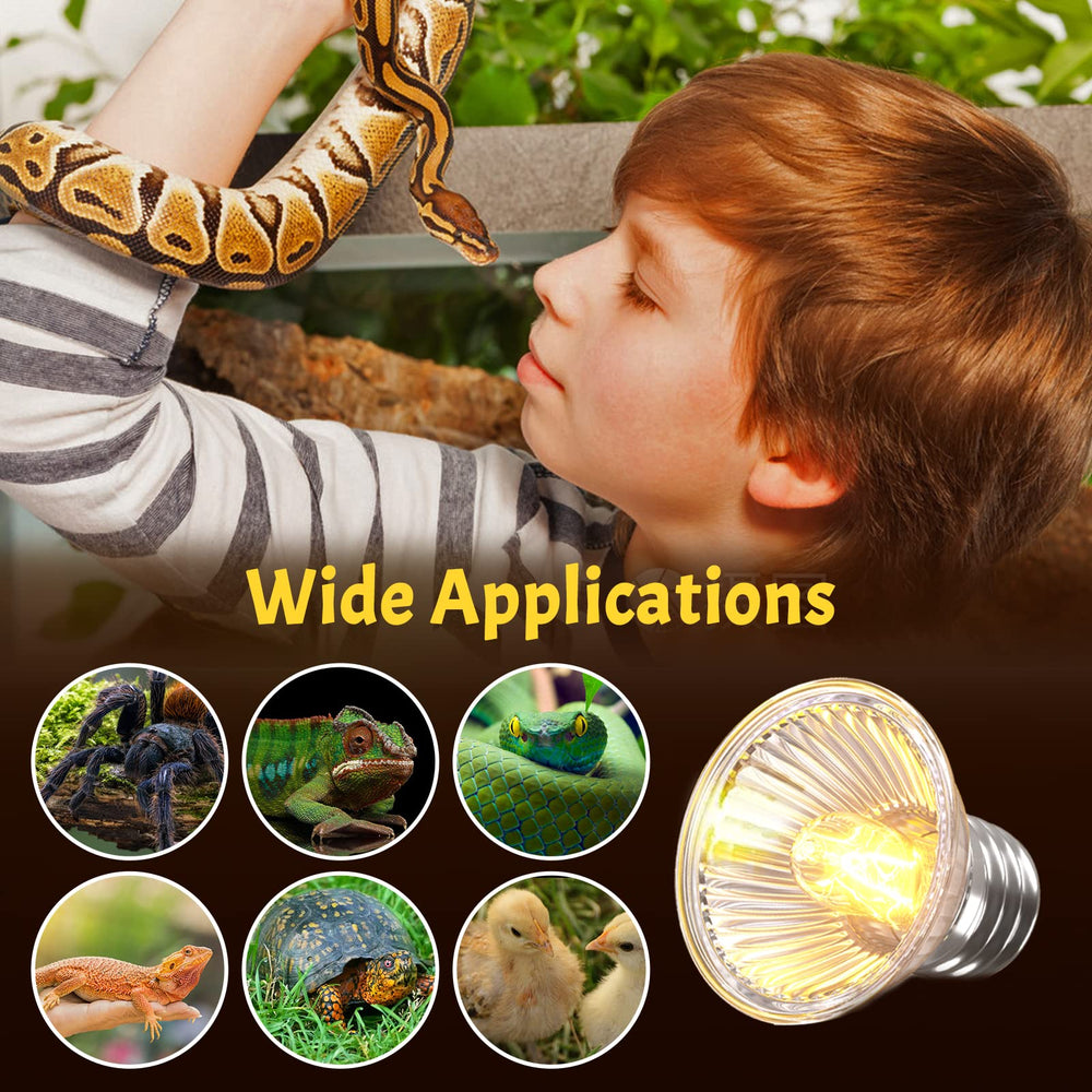 Lustaled reptile tank spotlight setup highlights a warm basking zone to encourage activity.