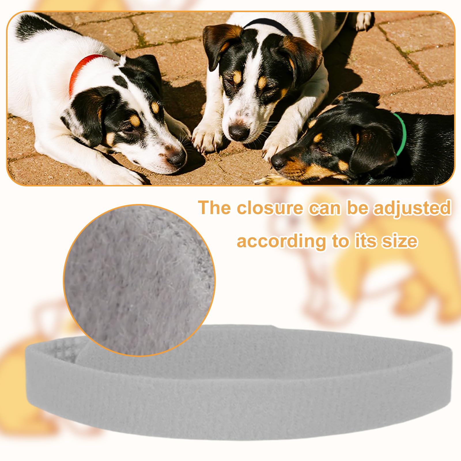 LUTER adjustable-fit image emphasizes comfortable collar for growing pets.
