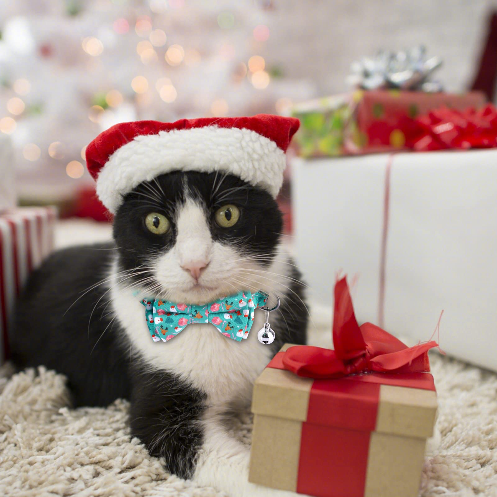 LUTER detachable bow tie on collar adds cute charm without bulk