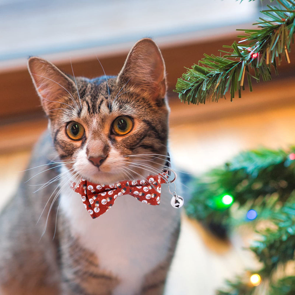 LUTER Christmas pet collar packaging shows two-color set ready for gifting