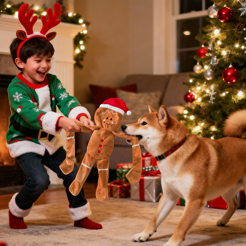 Luudoogs Christmas gift dog toy showcasing engagement and holiday fun.