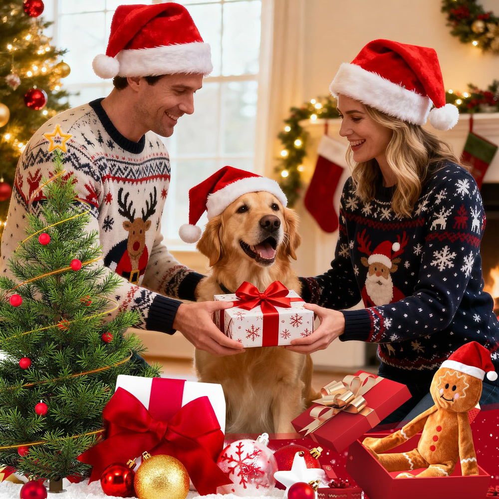 Luudoogs gift-ready Christmas dog toy packaging for easy gifting.