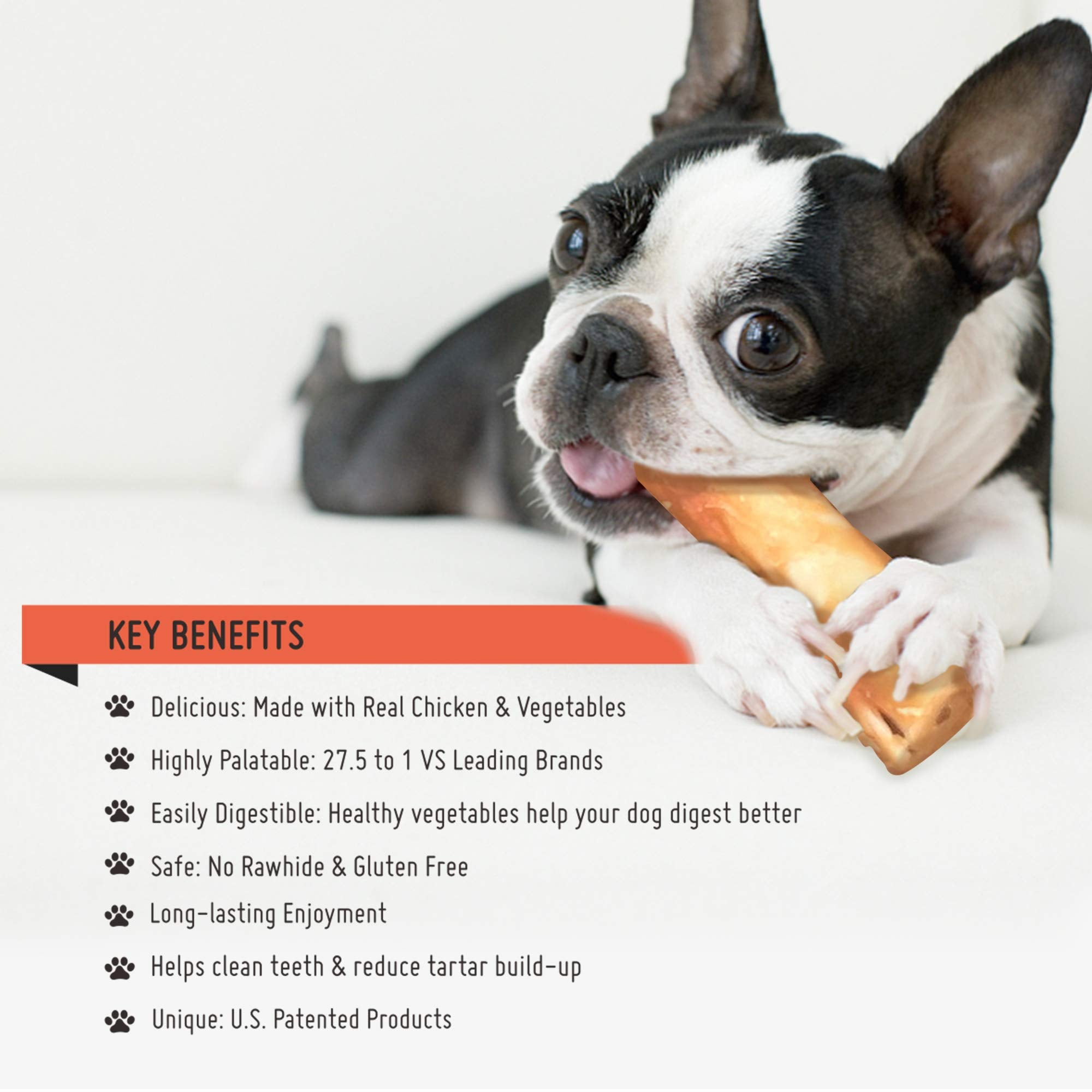 LuvChew small dog enjoying chew illustrates real-life use case and bite-size treat