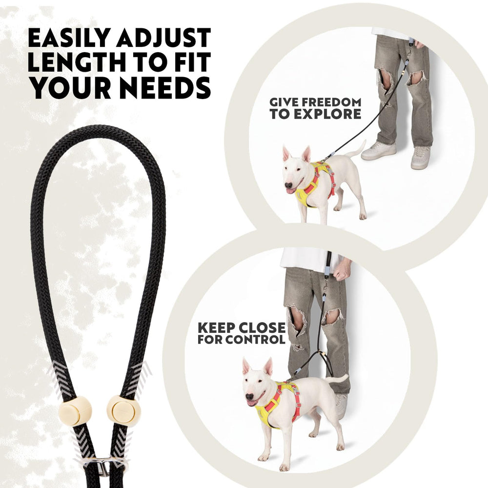 Luvfunaire leash set designed for dogs under 40lbs with single or double use.