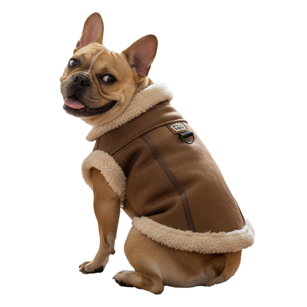 LUVMOJO retro aviator dog jacket front view showing faux leather and sherpa warmth for cold walks.