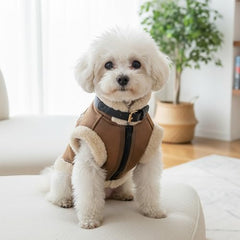 LUVMOJO Retro Aviator dog jacket side wear showcases stylish warmth