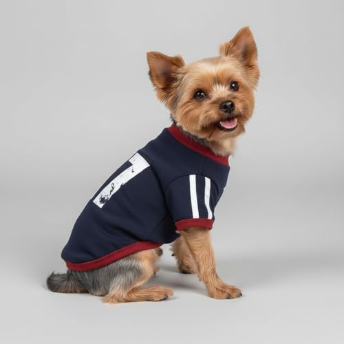 LUVMOJO coffee-colored small-dog sweater for daily layering and comfort.