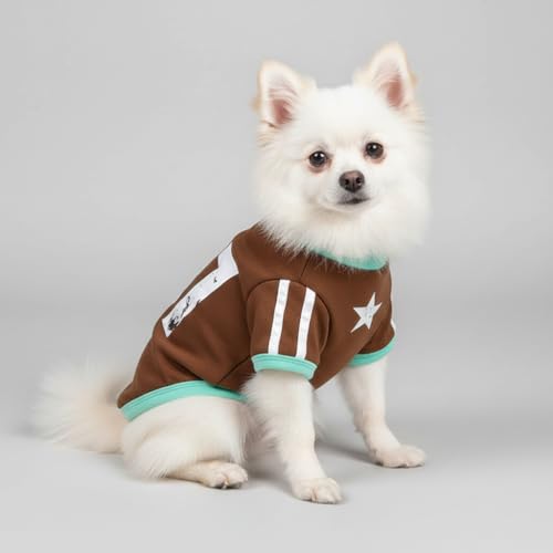 LUVMOJO forest-green small-dog sweater ideal for lounging and play.