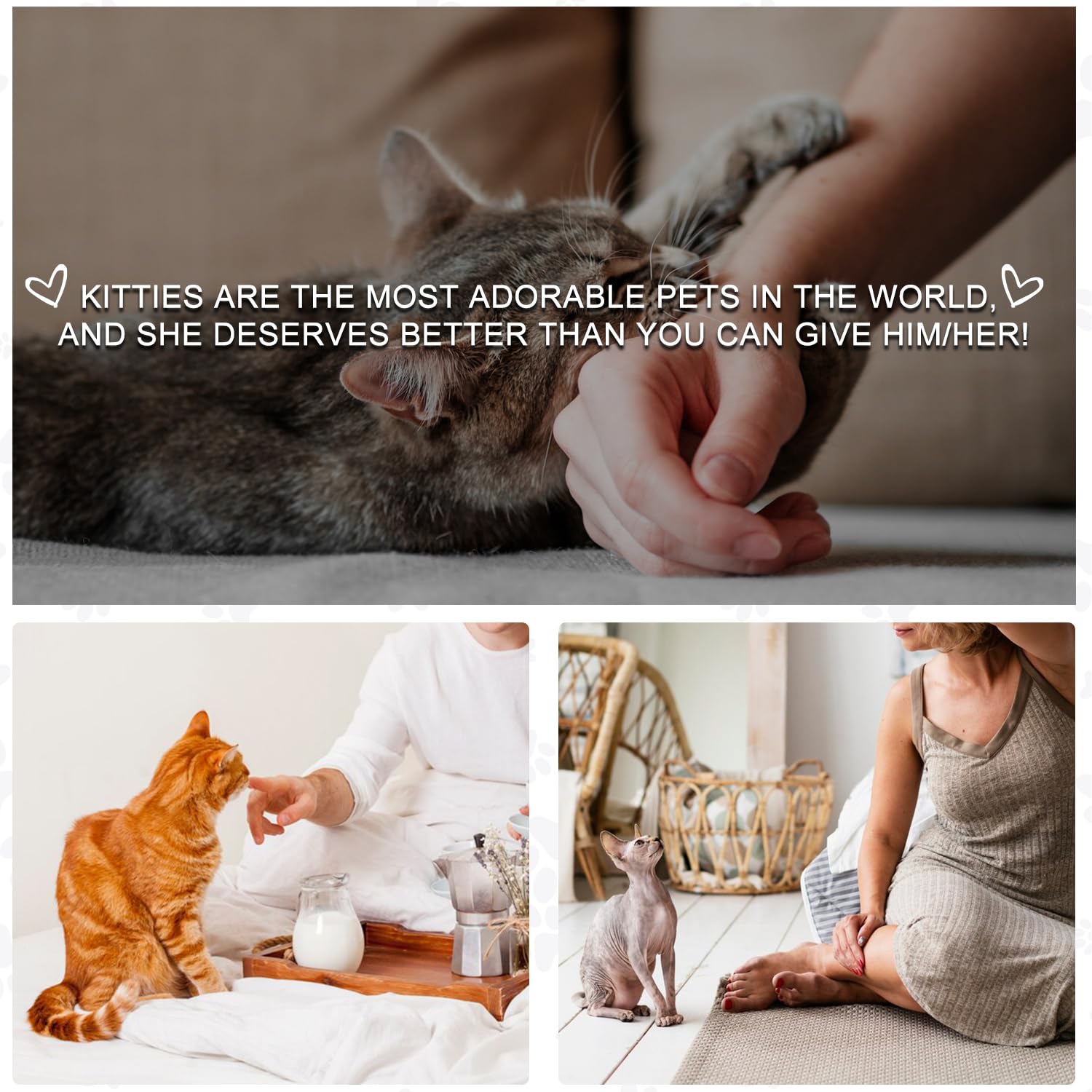 Luxrise Liner F side-pee solution highlights spill-prevention benefits