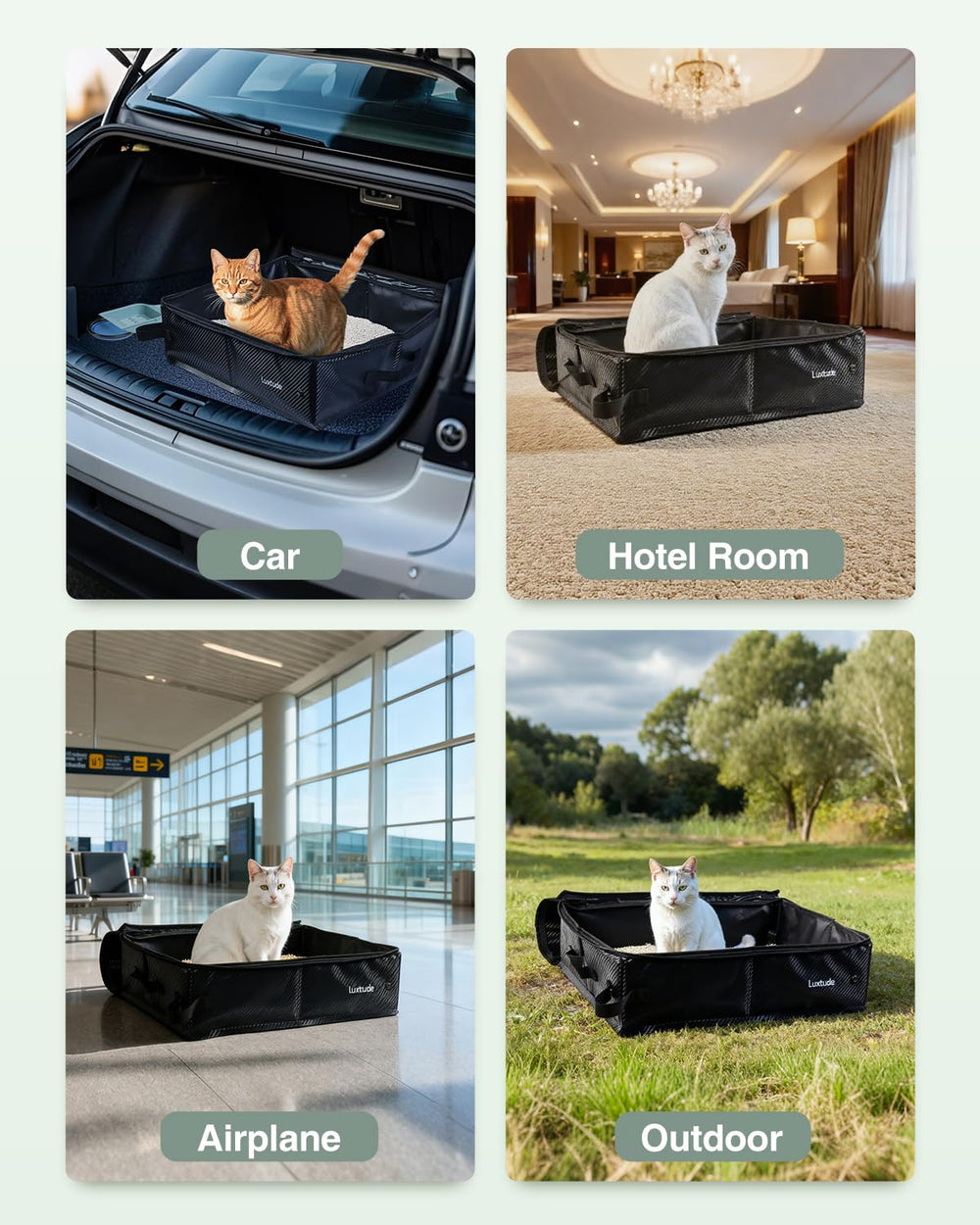 Luxtude in-hotel setup shows hassle-free travel with clean, compact solution