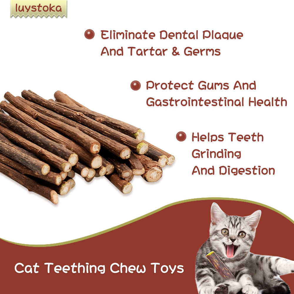 Luystoka Silvervine Sticks cat play session captures cats enjoying stress-relieving stimulation.