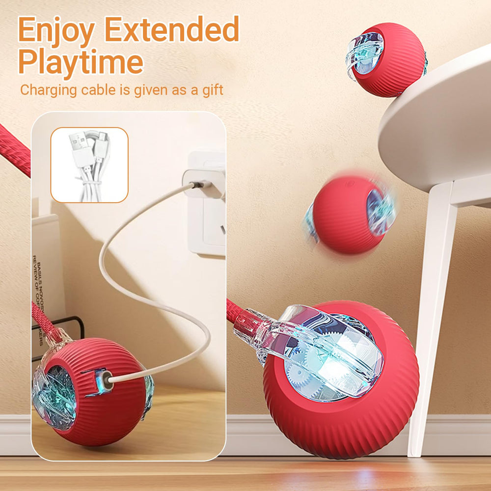 LVTEJPI sturdy design suits multi-pet households for long-lasting use.