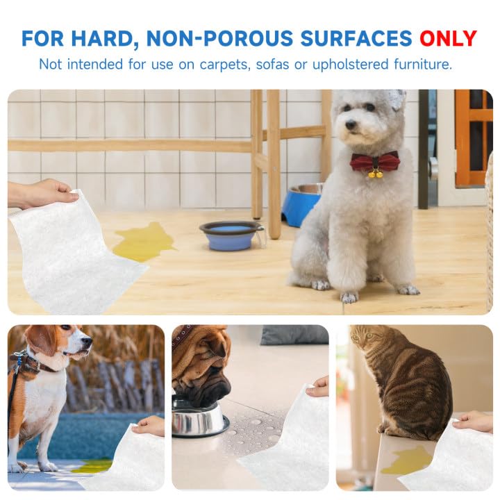 L&W BROS Easy Clean hard-floor usage demonstrates single-sheet cleanup.