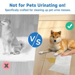 L&amp;W BROS Easy Clean Pet Sheets on hard floor absorb mess quickly and stay dry.