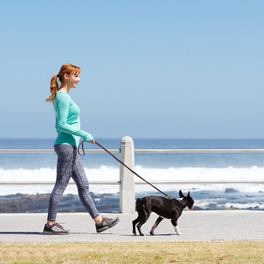 LWBMG dog leash setup shows easy tie-on to collars or harnesses for quick changes.