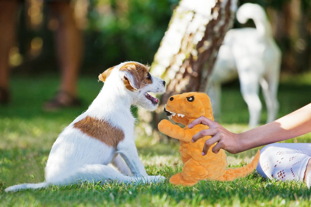 LWBMG durable air mesh plush toy for versatile daily play.