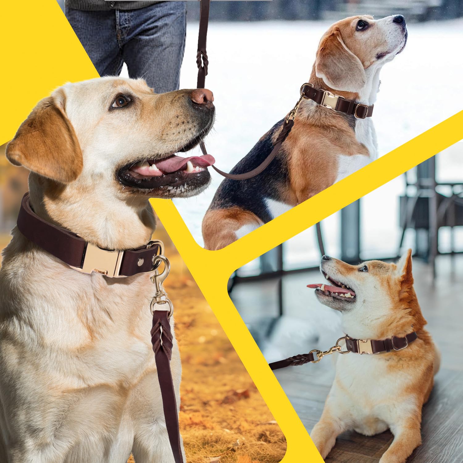 LWBMG durable alloy buckle on collar ensures lasting durability and quick on/off.