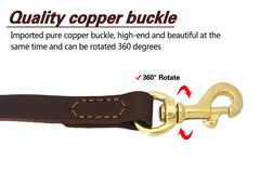 LWBMG leash metal hardware—electroplated fittings for secure attachments and a polished look.