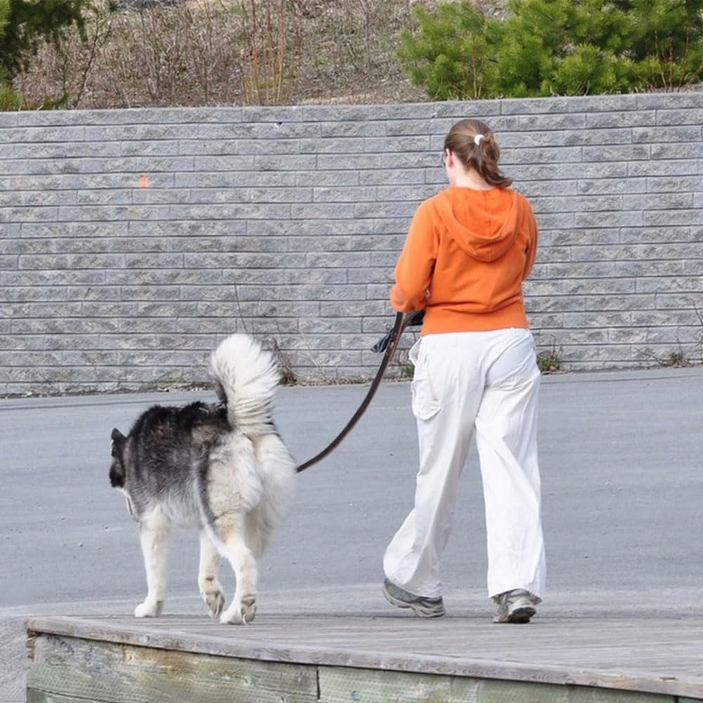 LWBMG leather leash in training scene with a large dog—versatile for training and walks.