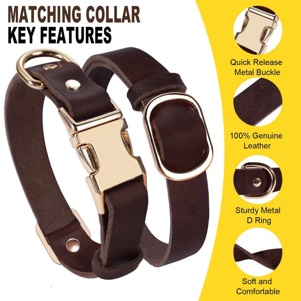 LWBMG leather dog leash 6ft brown with brass rotating hook for confident walks.