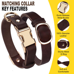 LWBMG leather dog leash 6ft brown with brass rotating hook for confident walks.