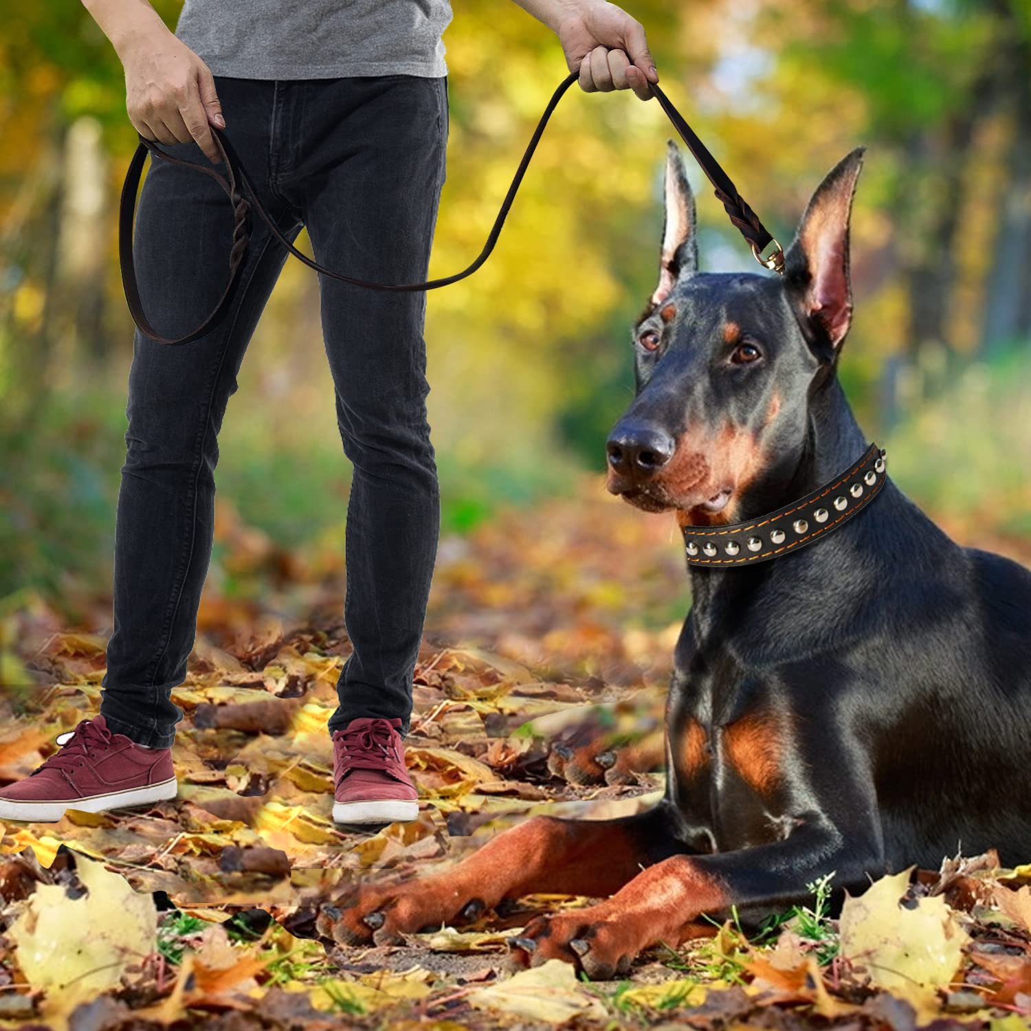 LWBMG leather dog leash 8ft backyard walk highlights extended reach for recalls.