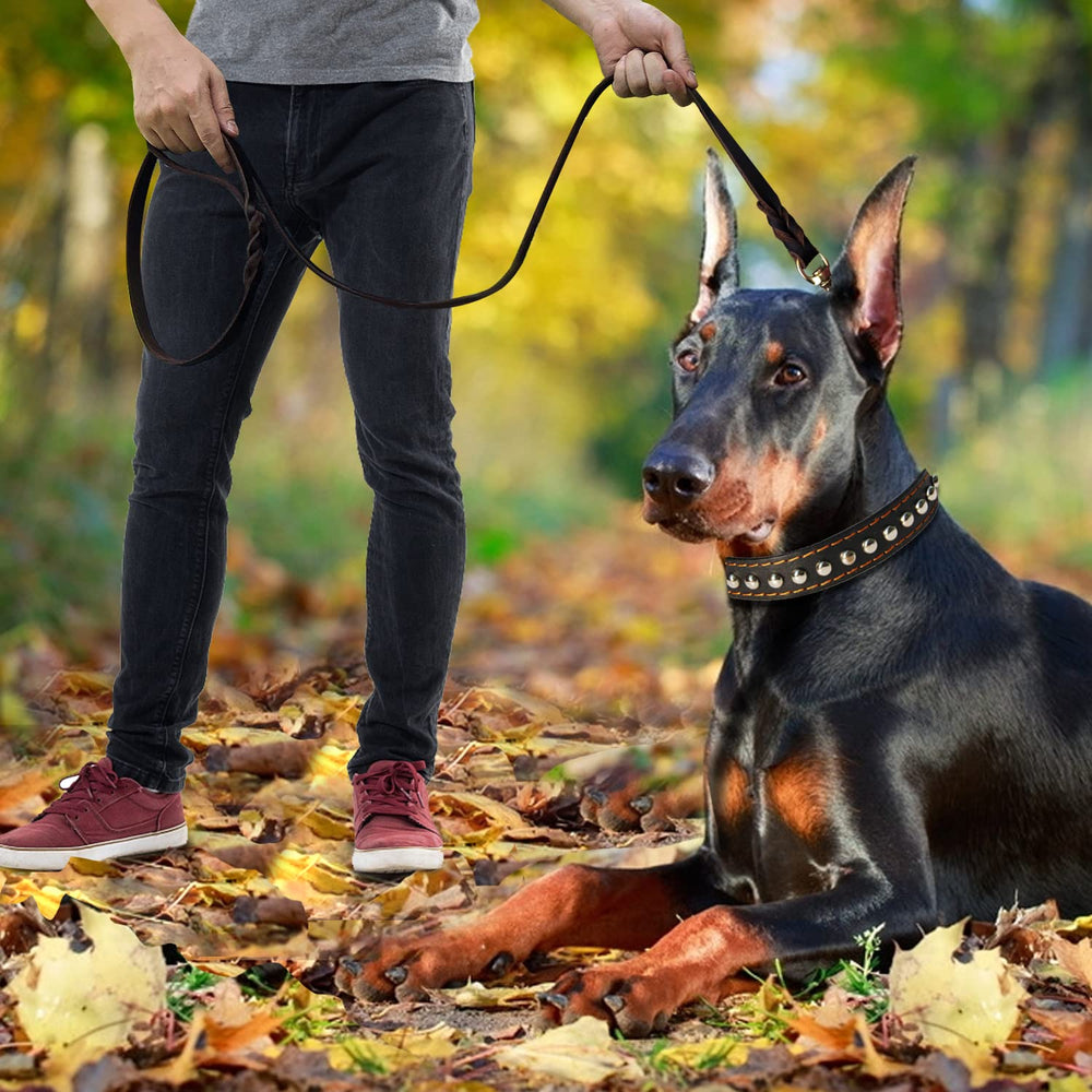 LWBMG leather dog leash 8ft backyard walk highlights extended reach for recalls.