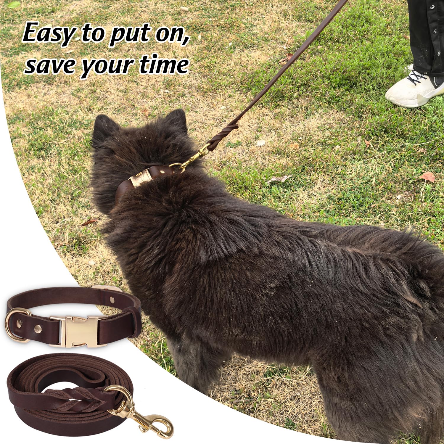 LWBMG multi-size color options image highlights versatile fits for medium to large dogs.