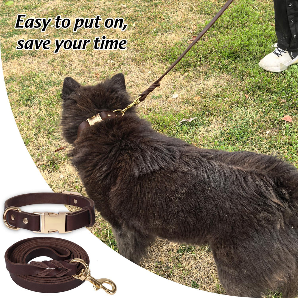 LWBMG multi-size color options image highlights versatile fits for medium to large dogs.