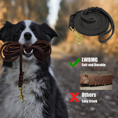 LWBMG outdoor-use image features leash in hiking and camping settings