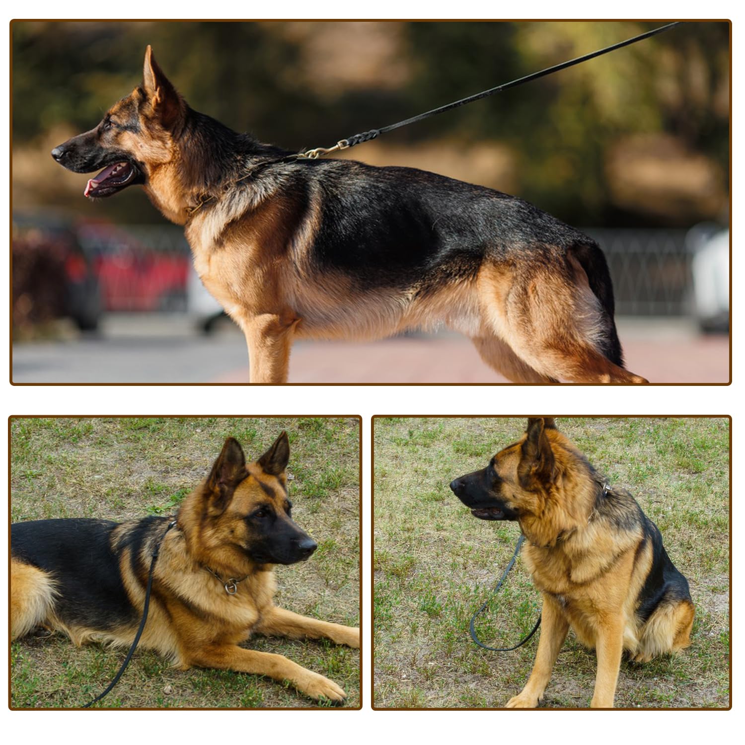 LWBMG-small-medium-dogs-training-leash supports gentle control for small breeds