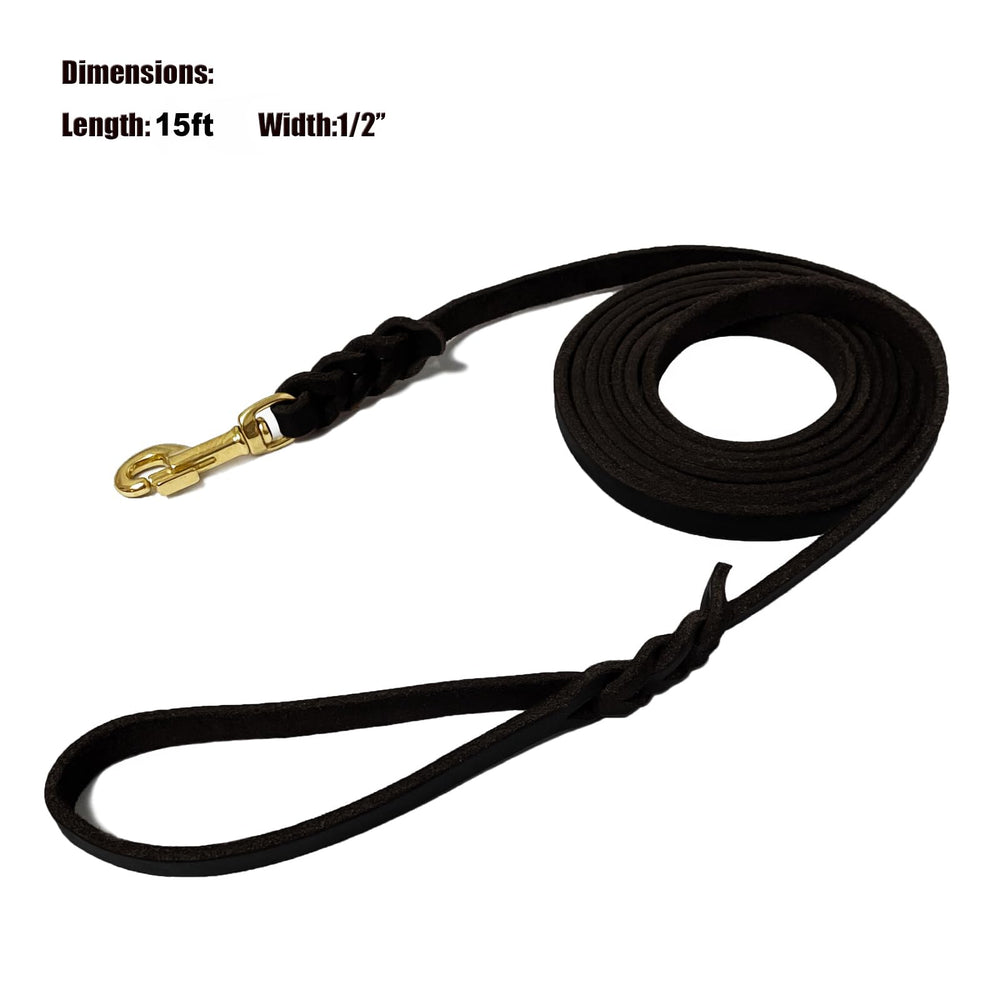 LWBMG strong-tensile-600lbs demonstrates rugged strength for larger dogs outdoor activities