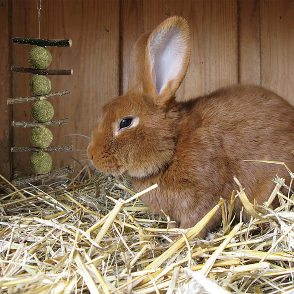 LWINGFLYER natural apple wood snack can be hung for accessibility