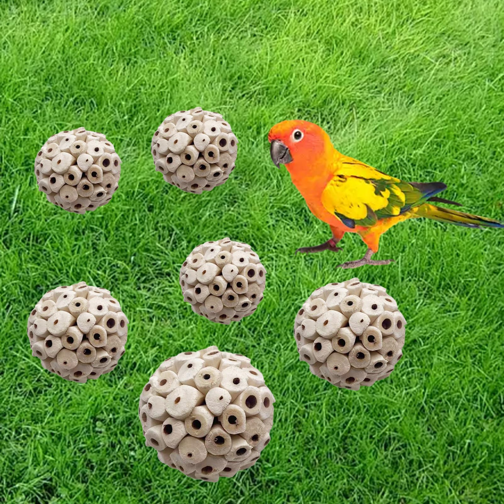 LWINGFLYER compact sola-ball design suits small pets for beak care and activity.