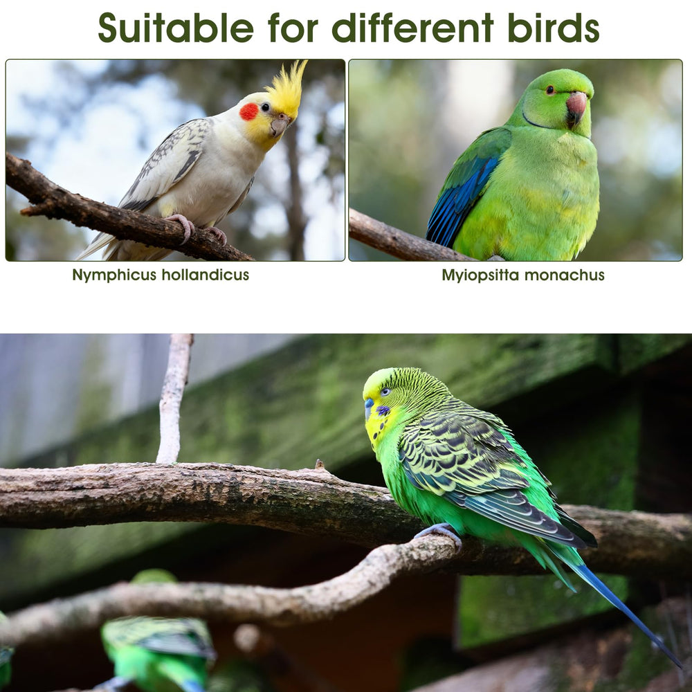 LXUEJIE Bird Diaper Adjustable-fit ensures secure wear across bird sizes