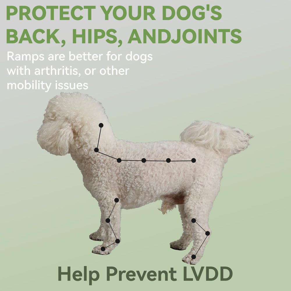 LY YJPDZSW dog ramp bed access grey illustrates easy way to reach a bed.