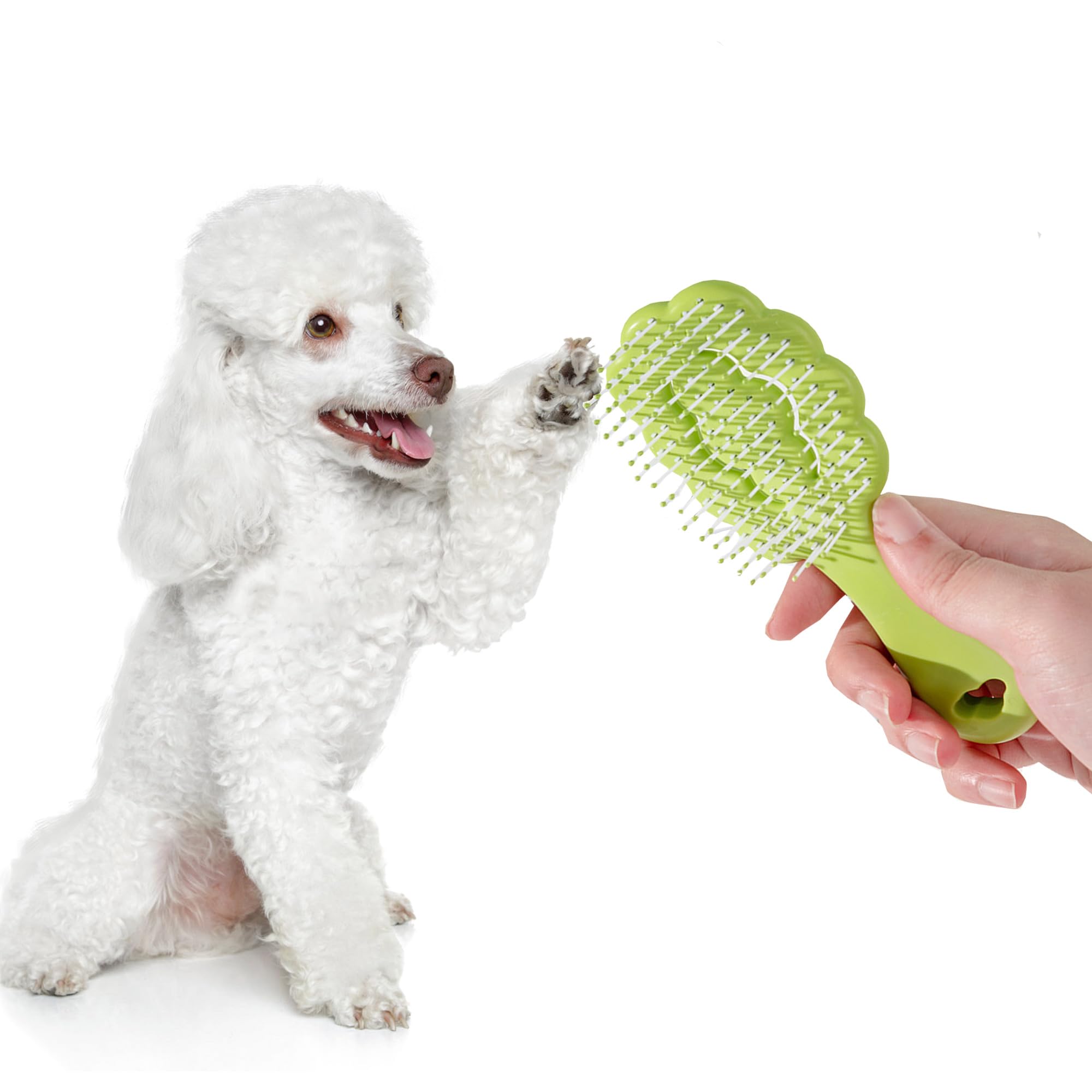 Lyaiwever portable grooming tool for on-the-go small breed care.